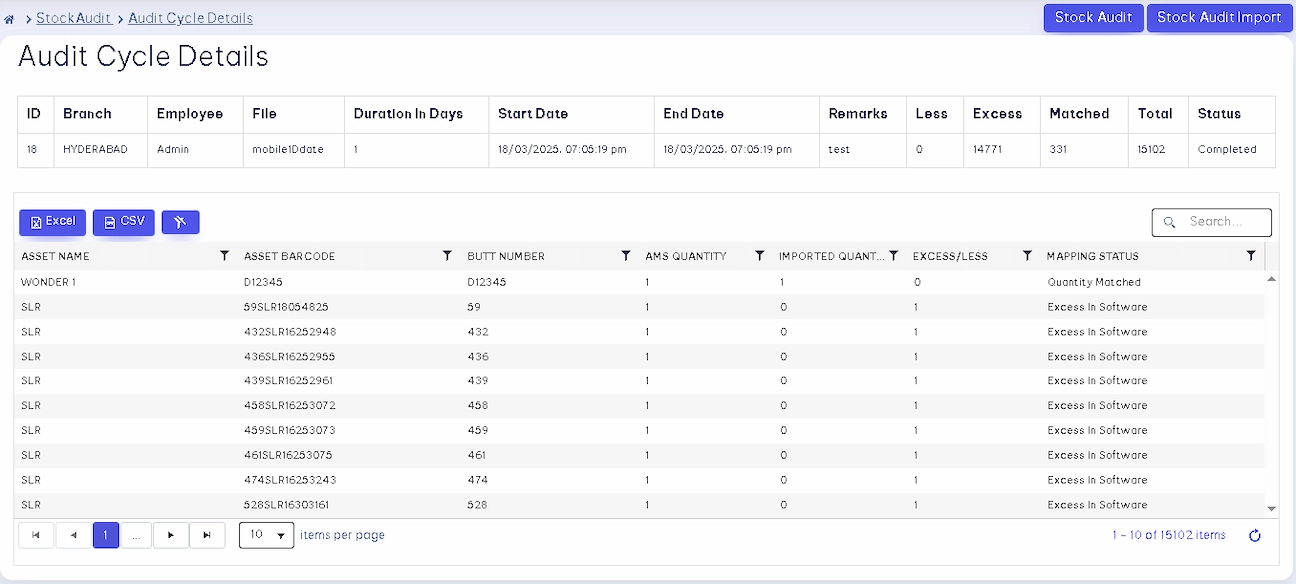 stock audit details